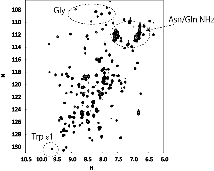 蛋白質の\(\ce{^{15}N}\)-HSQCスペクトルの例