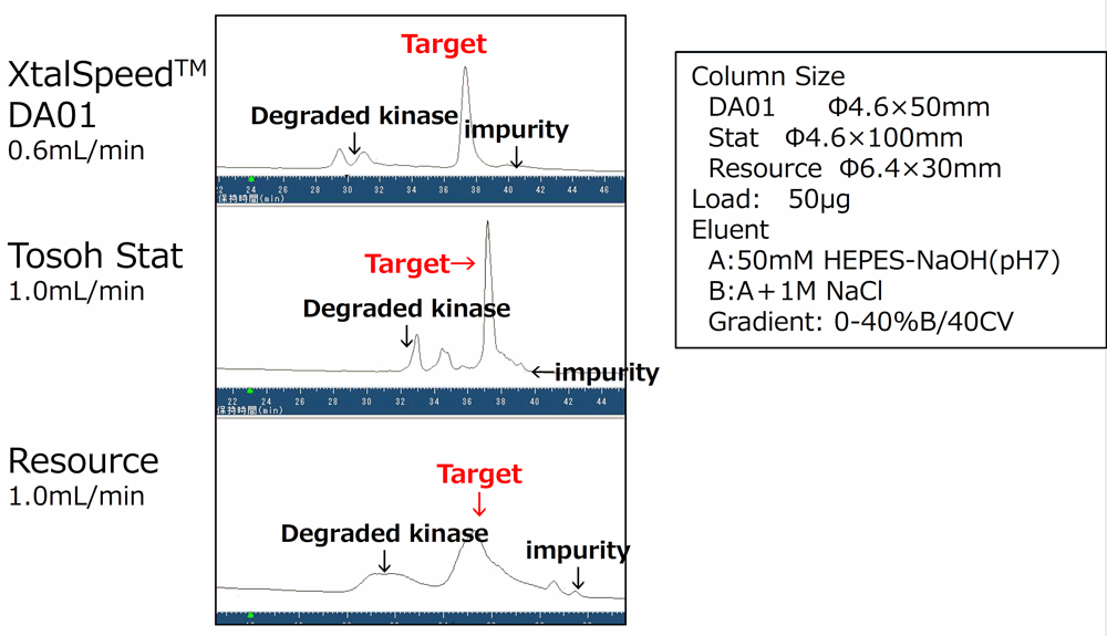 Purification of basic kinase (MW c.a. 100kDa)