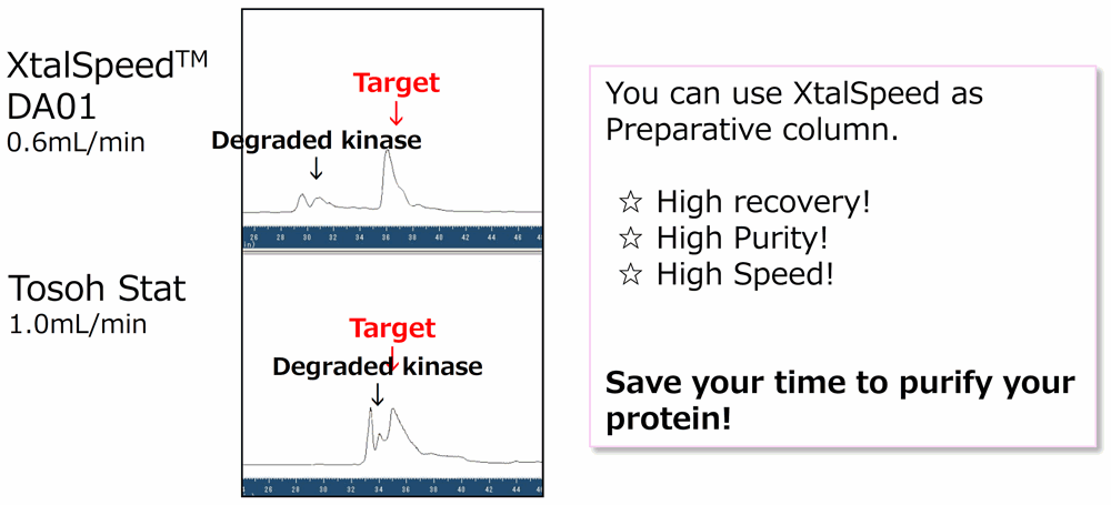 With sample Loading of 400 μg